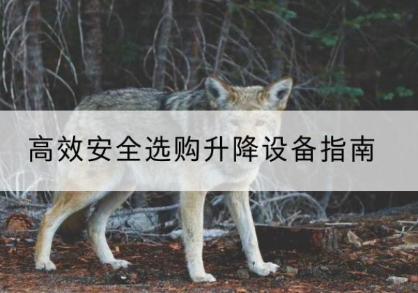 广元升降货梯厂家推荐-*安全选购升降设备指南
