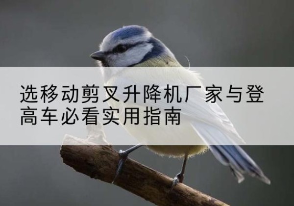 广元电动升降机厂家-选移动剪叉升降机厂家与登高车必看实用指南