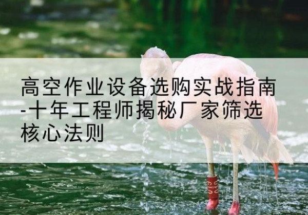 广元剪叉式升降机厂家-高空作业设备选购实战指南-十年工程师揭秘厂家筛选核心法则