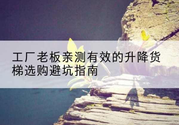 广元升降货梯怎么选-工厂老板亲测有效的升降货梯选购避坑指南